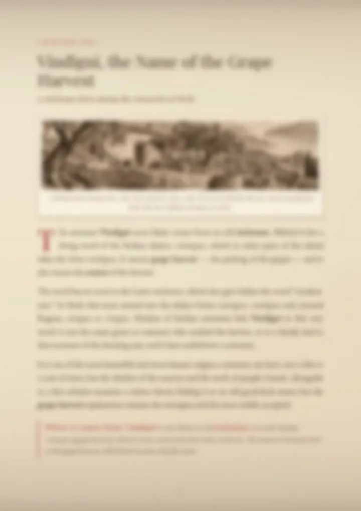 A blurred page from the PDF on the Vindigni surname