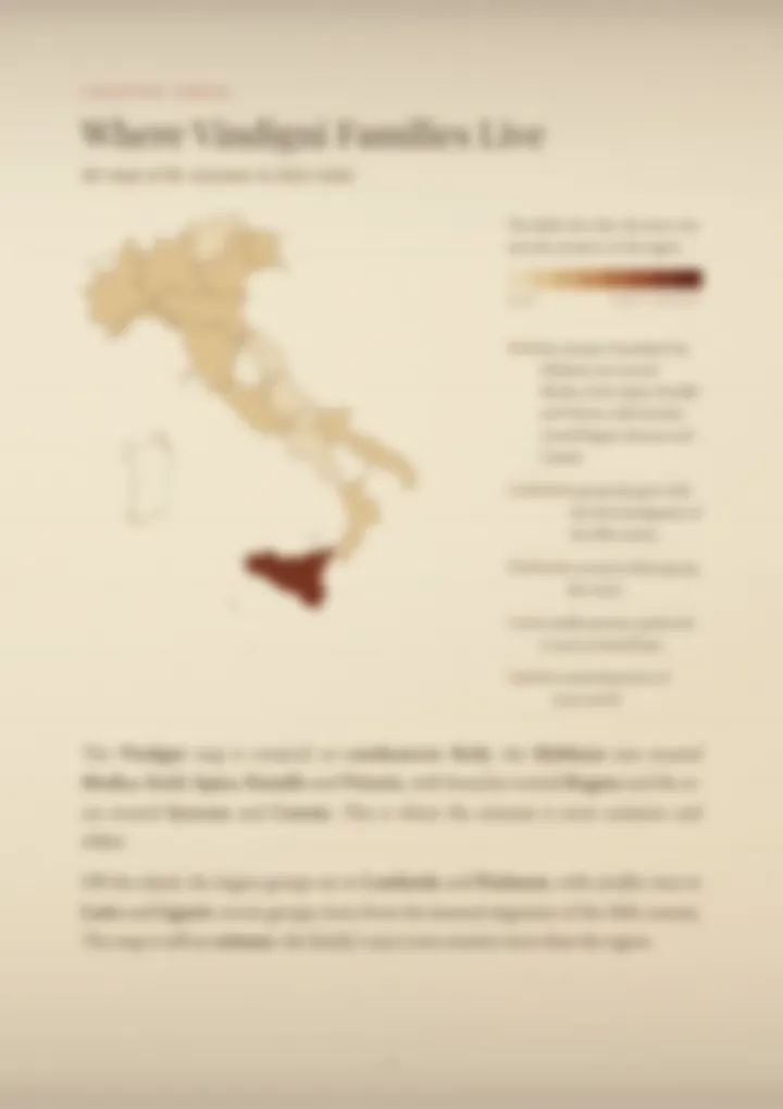 A blurred page from the PDF on the Vindigni surname