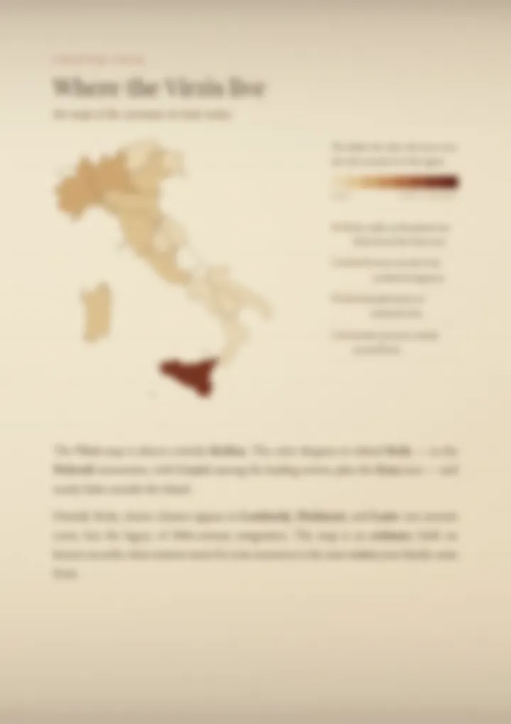 A blurred page from the PDF on the Virzì surname