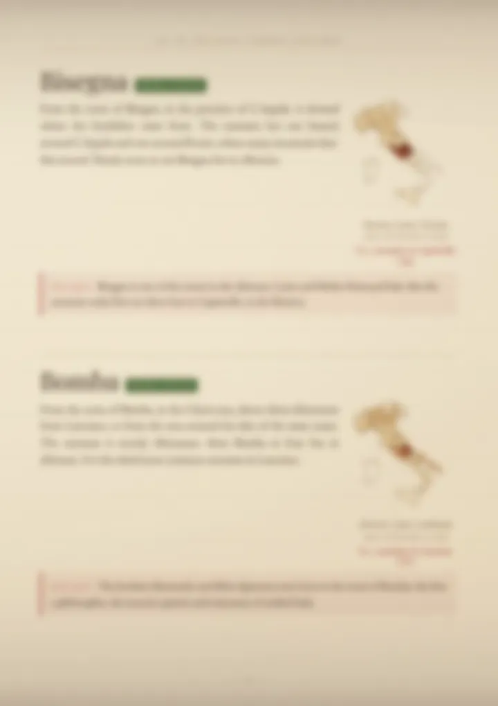 A blurred page from the volume Surnames of Abruzzo