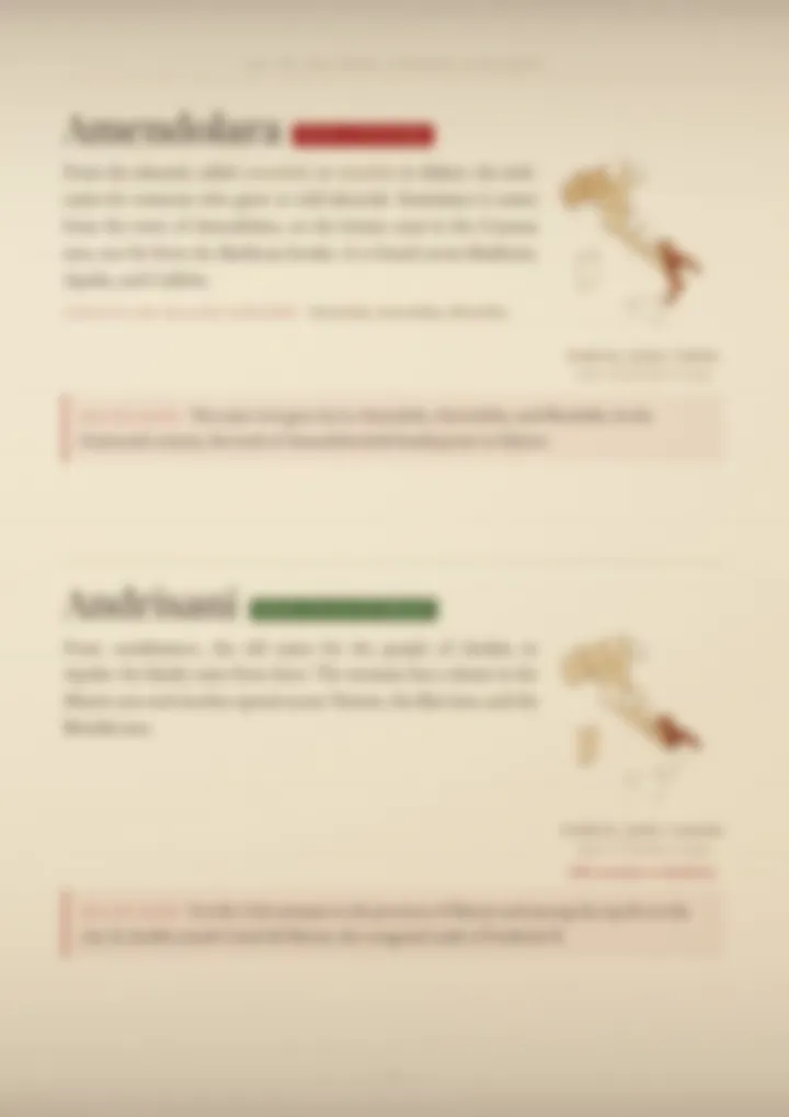 A blurred page from the volume Surnames of Basilicata