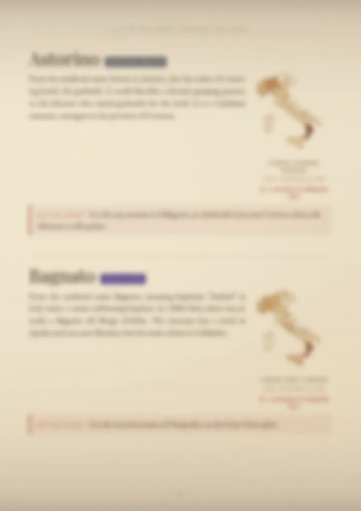 A blurred page from the volume Surnames of Calabria