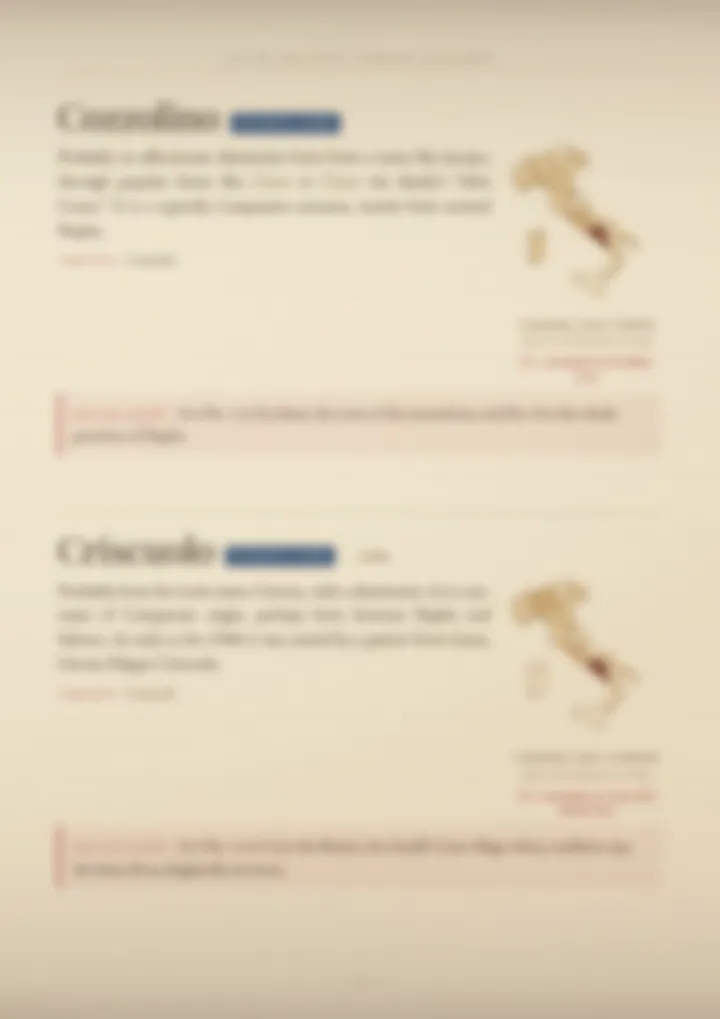A blurred page from the volume Surnames of Campania