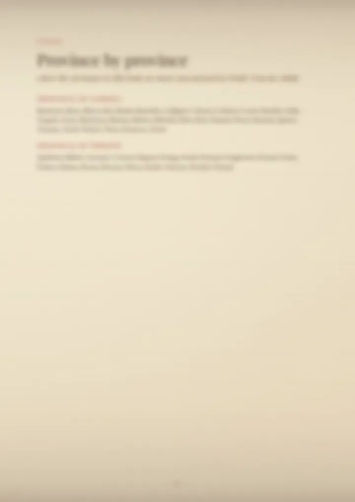 A blurred page from the volume Surnames of Friuli-Venezia Giulia