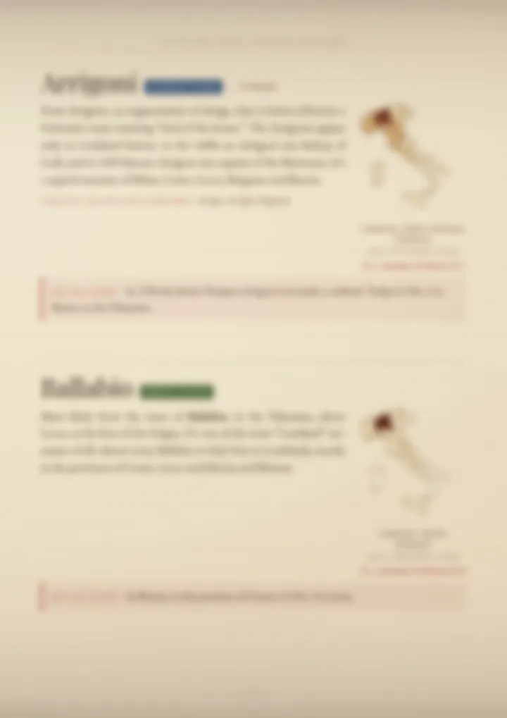 A blurred page from the volume Surnames of Lombardy