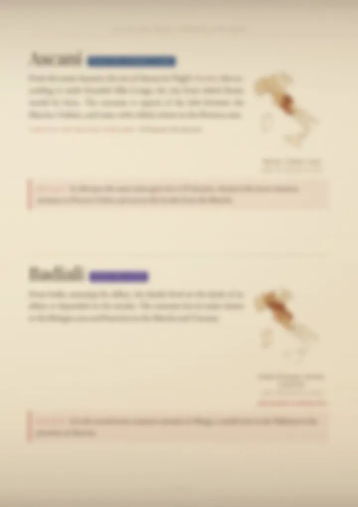 A blurred page from the volume Surnames of the Marche