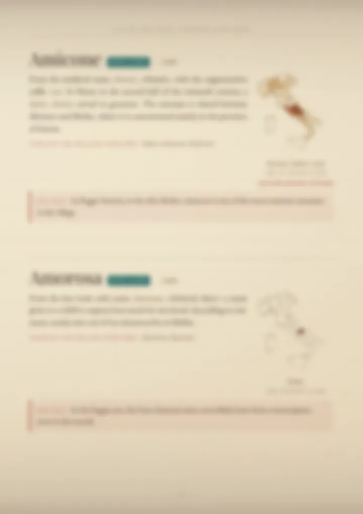 A blurred page from the volume Surnames of Molise