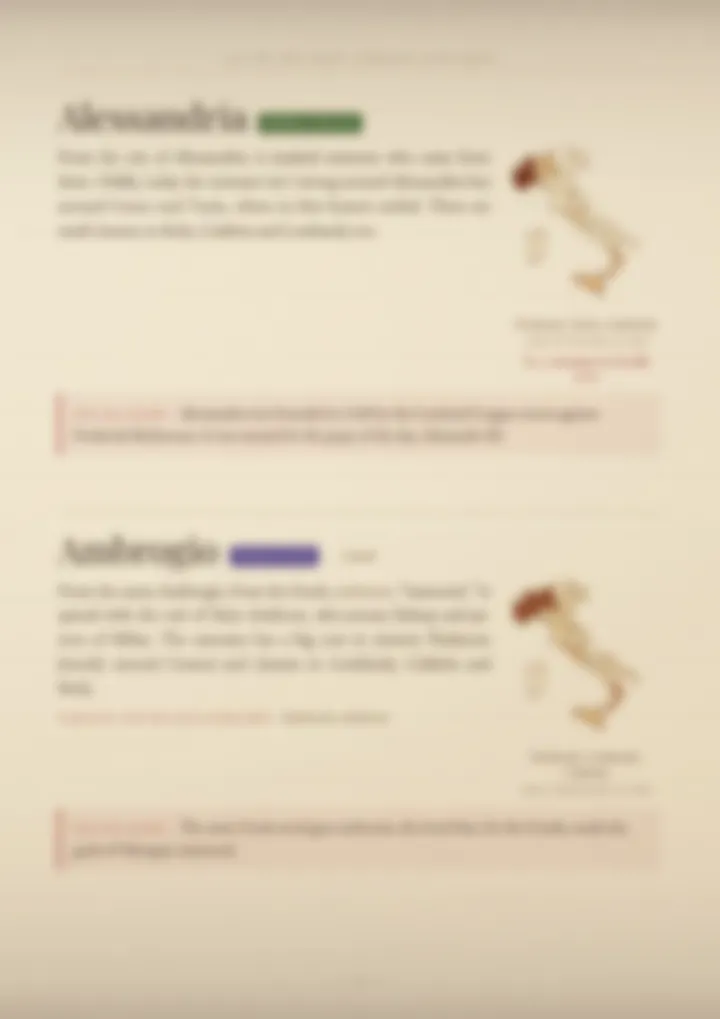 A blurred page from the volume Surnames of Piedmont