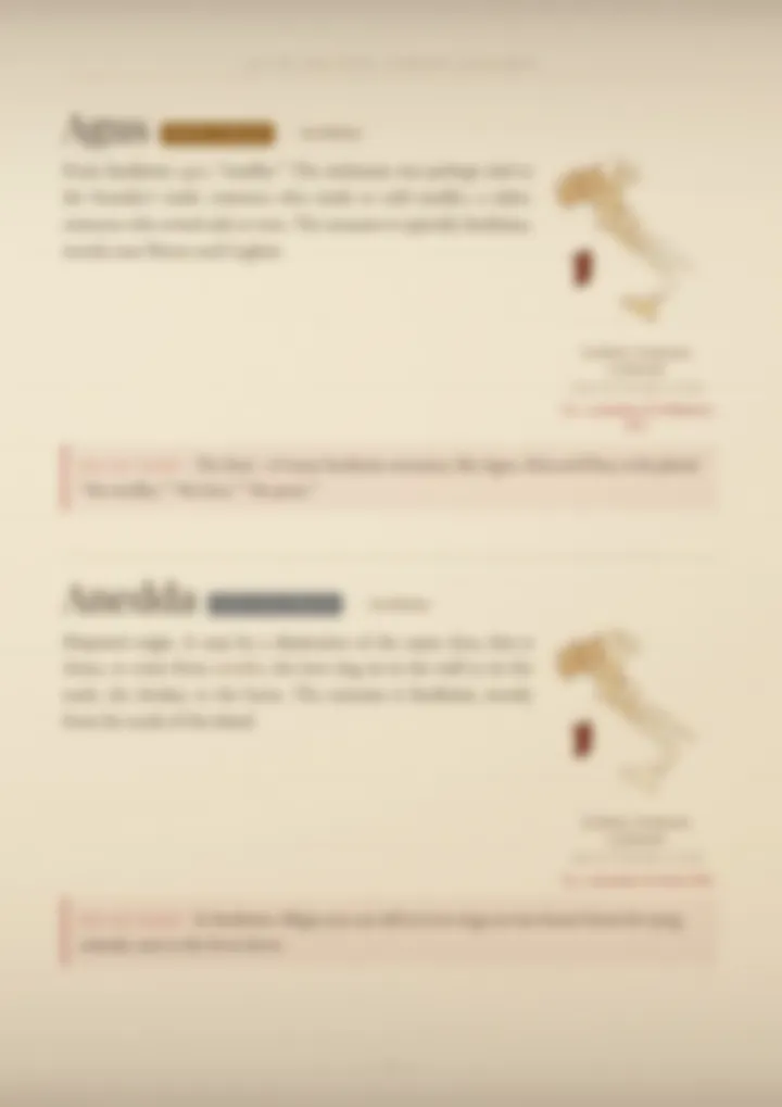 A blurred page from the volume Surnames of Sardinia