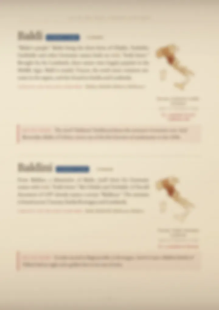A blurred page from the volume Surnames of Tuscany