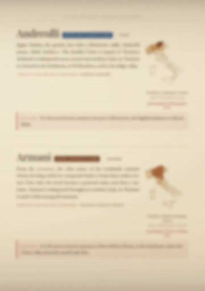 A blurred page from the volume Surnames of Trentino-Alto Adige