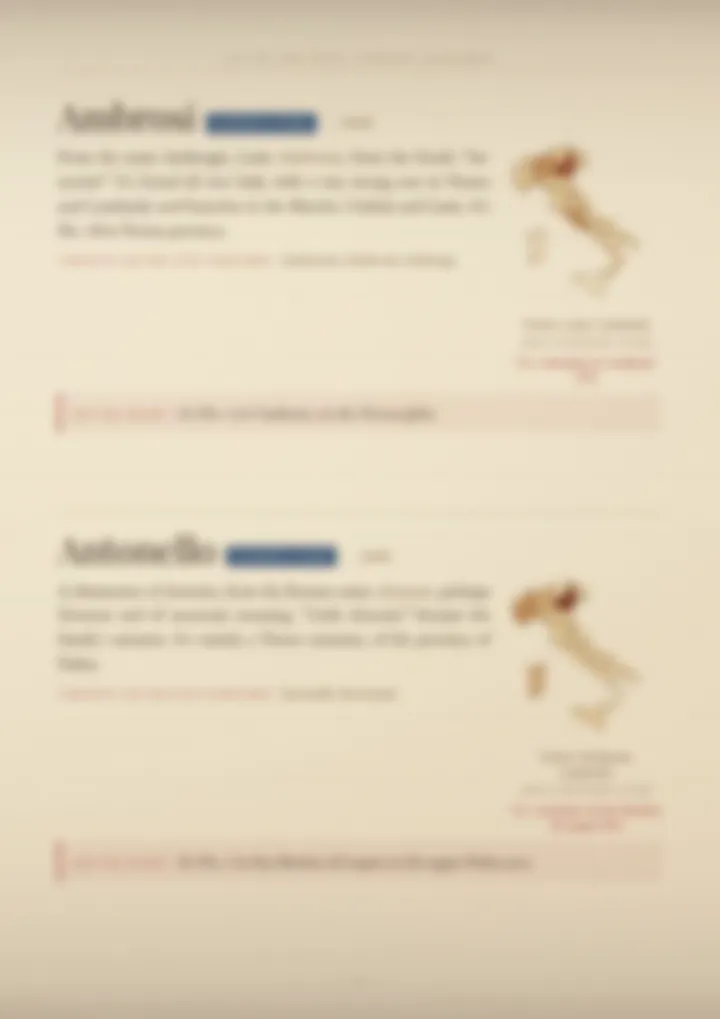 A blurred page from the volume Surnames of Veneto