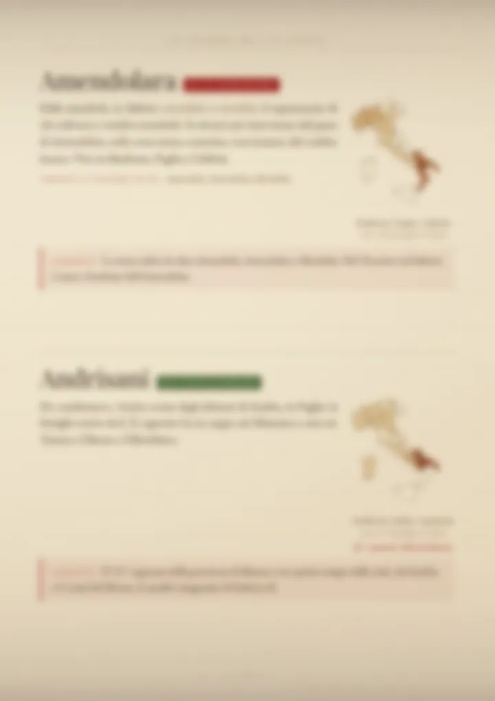 Una pagina del volume I cognomi della Basilicata, sfocata